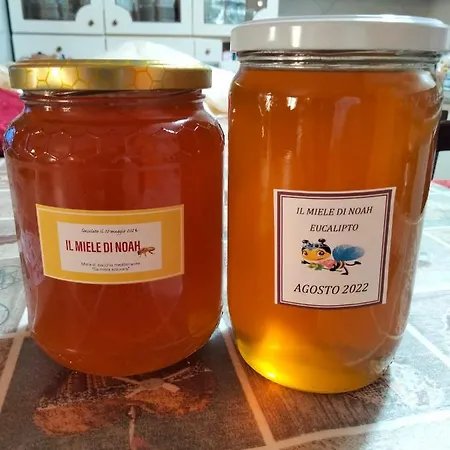 Granny's House アパート *